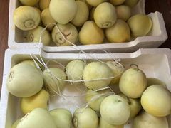 -南汇新场正宗水蜜桃采摘