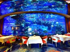 -迪拜帆船酒店海底餐厅