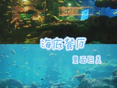 -长鹿旅游休博园