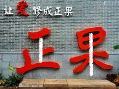 -传说中那条蛋散