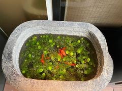 -觀芷隐轩