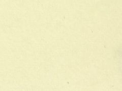 -浙江大学医学院附属第二医院(解放路院区)