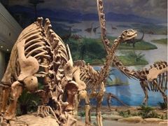 -自贡恐龙博物馆