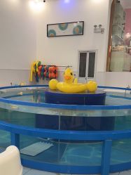 -雏芽婴幼儿游泳·小美医生小儿推拿(西村店)