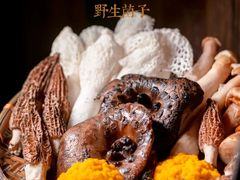 -蘑界·野生菌火锅(深业上城店)