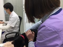 -美美宠物诊疗中心·异宠·骨科(滨江东信分院)