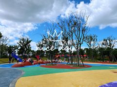 -春花秋色城市公园