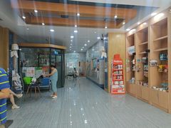 -瑞派名望志远动物医院·猫科·內科·异宠专科(直港大道店)