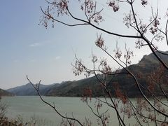 -羚羊峡古栈道森林公园