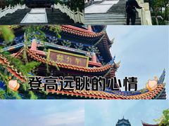 -铁山坪森林公园