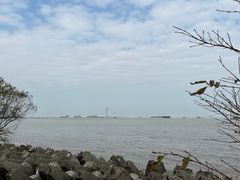 -上海滨江森林公园