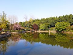-嘉定紫藤园