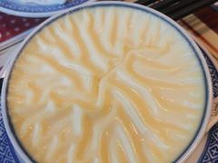 双皮奶-捷信牛奶甜品世家(五道口店)