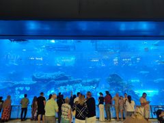 -迪拜水族馆及水下动物园