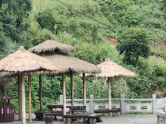 -紫鹊界梯田景区