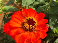 -松山湖梦幻百花洲