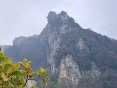 -王顺山国家森林公园