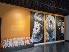 -中国湿地博物馆