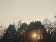 -习家池