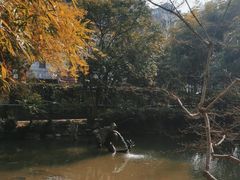-汇龙潭