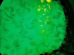 -沈阳海洋探索中心