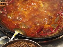 -朱光玉火锅馆(正弘城店)