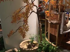 -梅间堂茶馆(绿地缤纷城店)