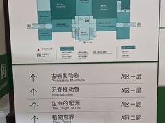 -国家自然博物馆