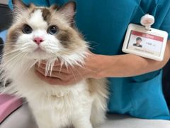 -艾贝尔宠物医院 ·中兽医·宠保定点(北门桥店)