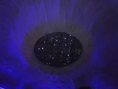 -兰剑驾校(汉阳校区)