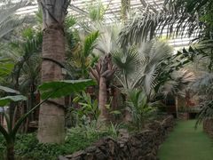 -呀路古热带植物园