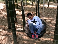 -陶祖圣境风景区