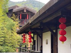 -大唐贡茶院