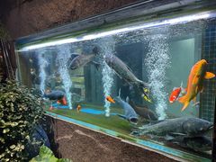 -又见炊烟私房菜(敬亭路店)