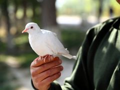 IMG_0709-鲤鱼山公园