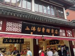 -上海梨膏糖商店(豫园商城店)