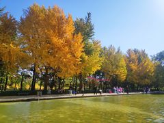 -玲珑塔公园