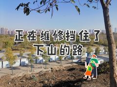 -宜家·瑞典风味餐厅(武汉荟聚中心店)
