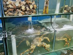 水产区-蚝专家(北滘店)