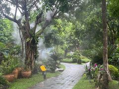 -东莞植物园
