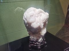 -中华赏石园