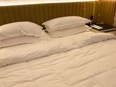 -新加坡文华东方酒店