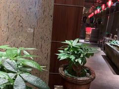 -杭州君悦酒店·湖滨28中餐厅