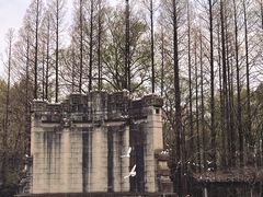 -音乐台