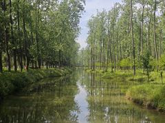 -合肥滨湖国家森林公园
