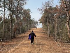 -青龙山国家森林公园