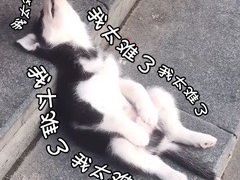 -吃皮火锅馆(苏宁店)