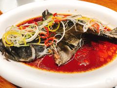 -必点海鲜·鲅鱼水饺(鞍山西道店)