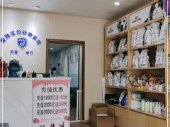 -中农大我爱我爱24h动物医院·中医针灸·猫专科·骨科医疗中心(双井店)