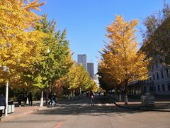 -东北大学(南湖校区)